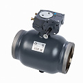 065N0181GR RJIP Premium Кран шаровой WW DN500 PN25 WG (приварной, с редуктором, С/П), Ридан